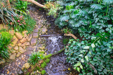 Wonderfull tropical garden with several rare orchids, tropical trees and plants in the greenhouses at the Dutch poldersの写真素材