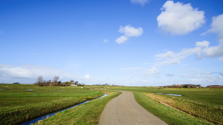 Wide view Dutch landscape with sheep, meadow and cloudy skies on the island Texel. Holland
