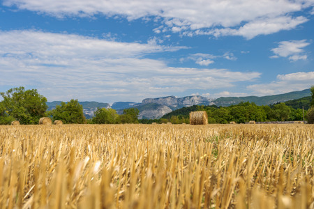 French countryside with agricultural hay fields and rolled hay bales. In the background the mountains of the Alps and the provenceの写真素材