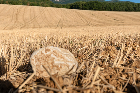 Landscaped view with rolling hills and tractor trials that bring you in the depths of the landscape. The summer is at its end and fields have already been harvested in the French europese pre alpsの写真素材