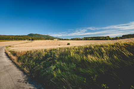 Sloping acres with mountain views in the department of dreams near the city of Valence in Franceの写真素材