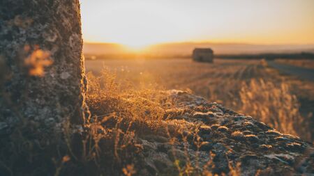 Moss and succulents on a dilapidated monument highlighted by the rays of the setting sun and a view over the rhône valley in franceの写真素材