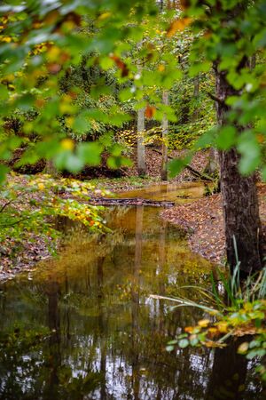 The leuvenumse creek is one of the few natural streams in Dutch nature. This brook is the longest of...