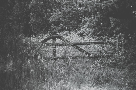 wooden fence of old craftsmanship and a grassland with high grass and deposits of bushes and trees. Typical traditional farming landscape with an atmospheric sceneの写真素材