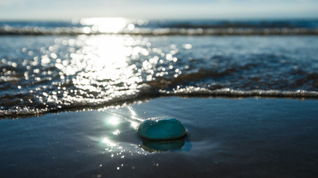 Atmospheric backlight photo of the sea with wavy water, wet beach and reflecting sunlight.の写真素材