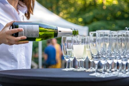 Festive bottle of champagne with glasses during a luxury garden party in the summerの写真素材
