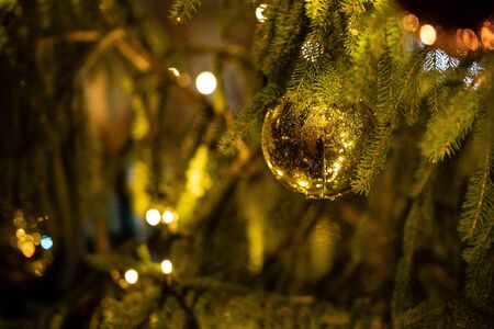 Shiny Christmas bauble in a green pine tree with burning lights and reflecting raindropsの写真素材
