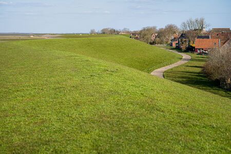 Meadow with field grasses on a slope against a background of blue sky. Spring field with fresh green...
