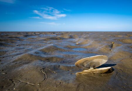 Maritime landscape with reflection of clouds in low tide water, Waddenzee, Friesland, The Netherlandsの写真素材
