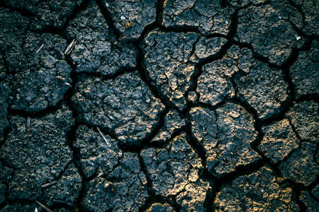 Earth cracks or stone. Clay-line cracking. Bare tree branches Crack soil on dry season, Global...