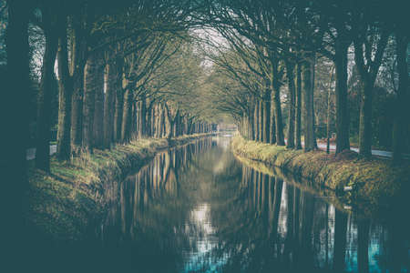 Canal with reflecting water on both sides lined with bare old oak trees in the winter seasonの写真素材