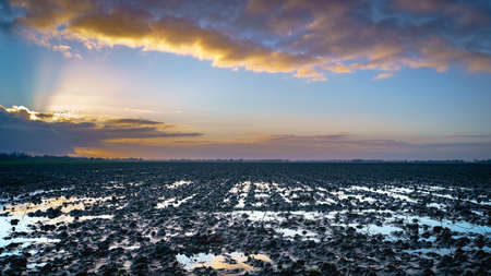 Rainwater infiltrates the soil and does not sink further, causing the earth to become saturatedの写真素材