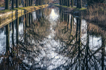 Canal with reflecting water on both sides lined with bare old oak trees in the winter seasonの写真素材