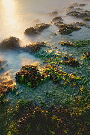 Rocks with green seaweed in the light of the setting sun and mystical waves . Long exposure photography on the dutch coast, Zeeland, Netherlandsの写真素材