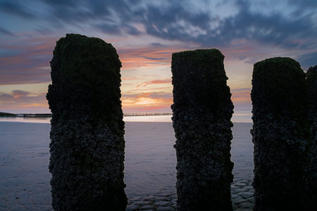 Dutch landscape with beach the province of Zeeland, the Netherlands