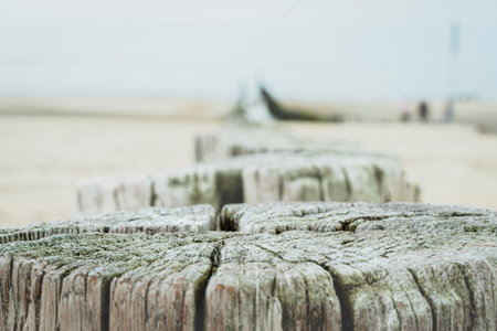 Detailed photo of a wooden pile on the beach in Domburg. The groyne has great structures and texture in the wood.の写真素材