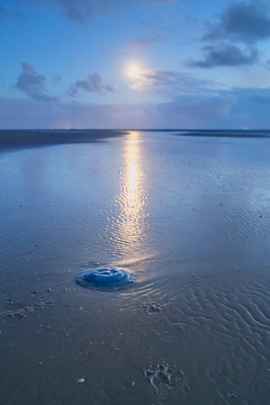 Amazing night sea. Blue ocean background. Night scene background. Background, wallpaper. Vintage style. Sunset, dusk.の写真素材