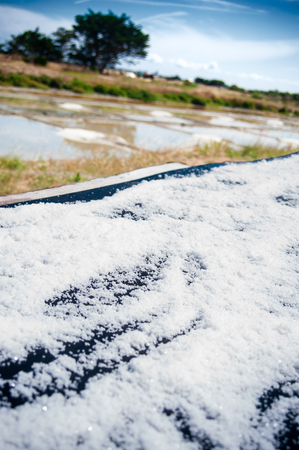 Table with drying salt on a Saline with water in summertime on the isle of Noirmoutier in France