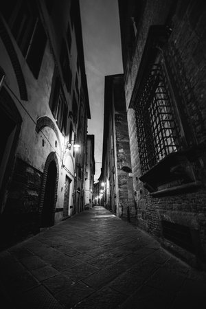 Narrow cobblestone street flanked by tall, historic buildings with arched windows and doorways. The scene is dimly lit by vintage-style street lamps casting long shadows.の写真素材