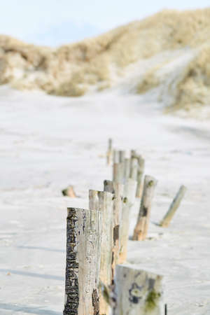 Sticks in the sand on the beachの写真素材