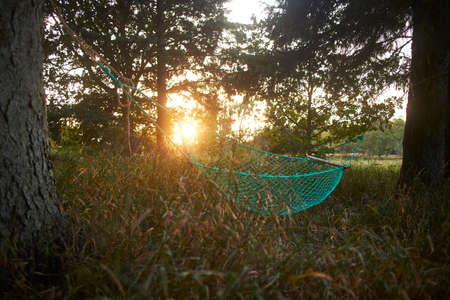 A green hammock in the forest with the sunset in the backgroundの写真素材