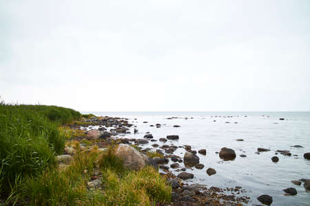Green grass on the beach in Denmark