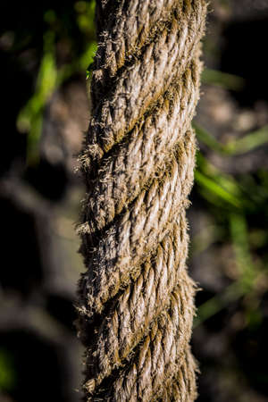 Closeup of a old twisted rope
