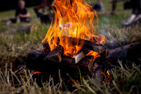 A closeup of a bonfire in the woods