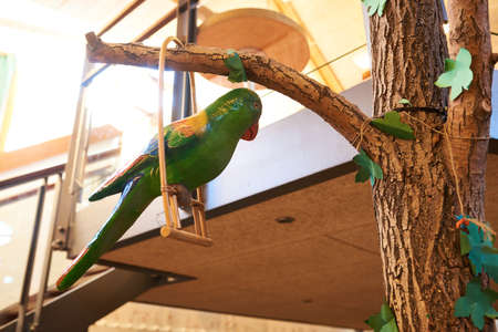 closeup of plastic parrot in a tree as decorationの写真素材