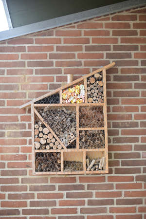 Big insect house hanging on a building