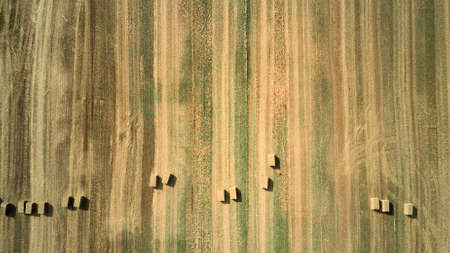 a drone shot of farm field with stacks of hayの写真素材