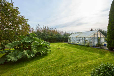 garden with large greenhouse and plantsの写真素材