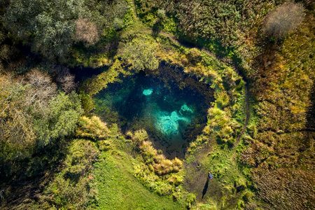 beautiful view of clear blue lake in the forestの写真素材
