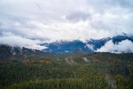 top view of nature landscape of beautiful forest and clear blue lake