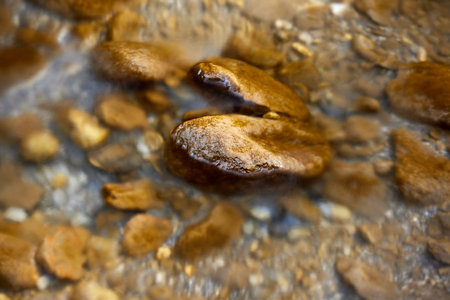 Large rocks in a river in Switzerland natureの写真素材