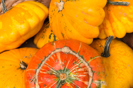 single orange pumpkin lie upside down in a wooden basket with yellow pumpkinsの写真素材