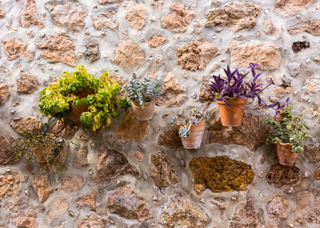 different colorful plant or flower pots hanging on a stone wall in old beautiful idyllic mediterranean lonesome village townの写真素材