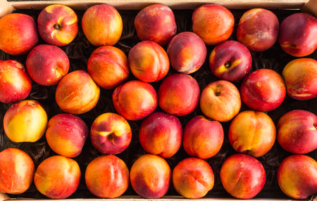bunch of juicy delicious red yellow peaches prunus persica in box at the marketの写真素材