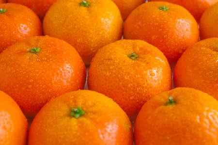 ripe shiny tangerines with droplets of water side viewの写真素材