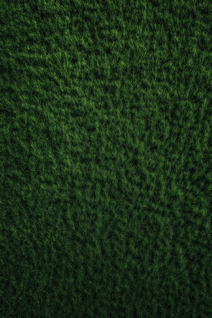 Green grass texture background. Abstract green grass texture background. Green grass backgroundの素材