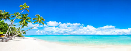 Panorama of beautiful beach at Seychelles - nature backgroundの素材