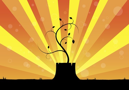 young plant rebornのイラスト素材