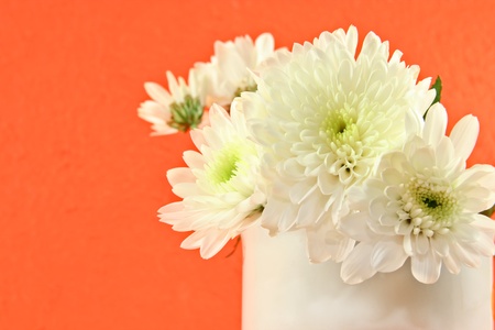 white flower with orange backgroundの写真素材