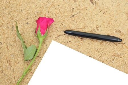 Rose and blank paperの写真素材
