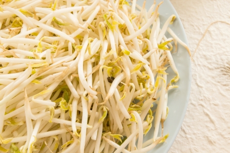 bean sprouts on plateの写真素材
