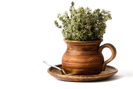 Thyme in a clay pot on white backgroundの写真素材