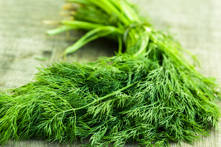 Bunch of dill on a wooden table.の写真素材