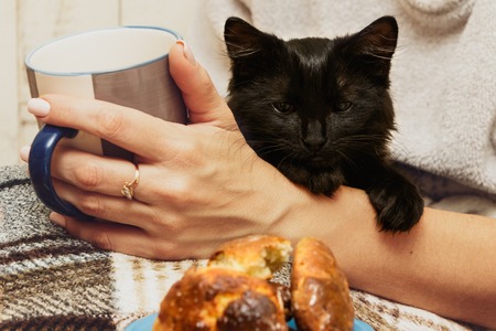Female hand with Cup and black catの写真素材