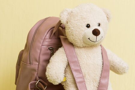 Teddy bear with a backpack.の写真素材