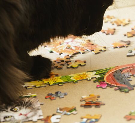 Puzzle or mosaic puzzle gameの写真素材